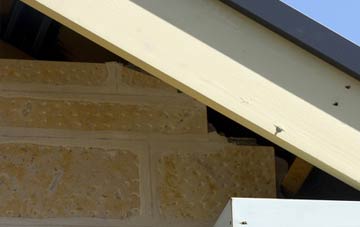 soffit repair Badicaul
