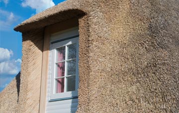 Badicaul thatch roof disadvantages